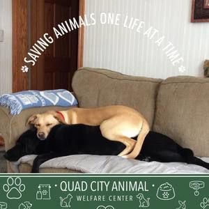 Meet your Posher, Bonnie